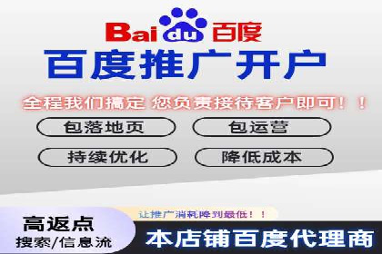 某电商平台的成功信息流代运营策略